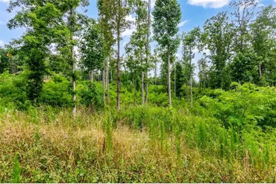 Lt 128 Twisted Oak Road, Talking Rock, GA 30175 - Photo 19