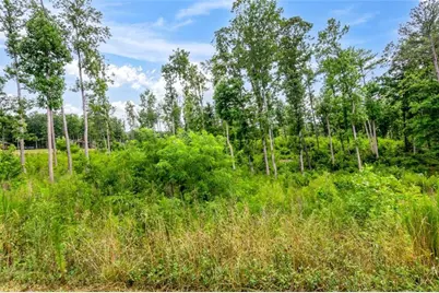 Lt 128 Twisted Oak Road, Talking Rock, GA 30175 - Photo 21