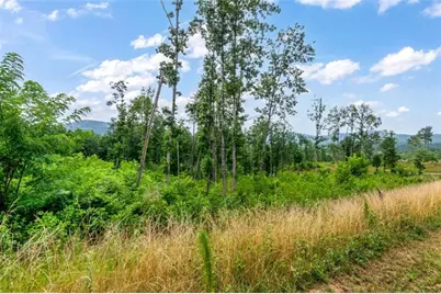 Lt 128 Twisted Oak Road, Talking Rock, GA 30175 - Photo 15