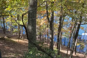 5350 Woodland Cir, Gainesville, GA 30504 - Photo 33