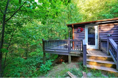 192 Bushy Head Road, Cherry Log, GA 30522 - Photo 3