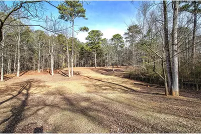 1703 Bryant Road, Ranger, GA 30734 - Photo 61