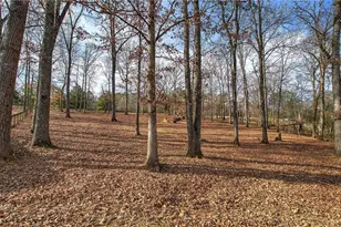 1703 Bryant Rd, Ranger, GA 30734 - Photo 65