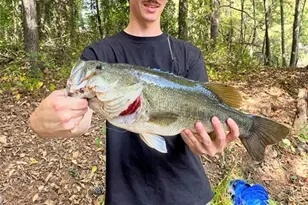 550 S Rays Rd, Stone Mountain, GA 30083 - Photo 15