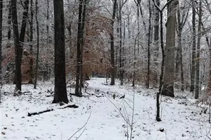 550 S Rays Rd, Stone Mountain, GA 30083 - Photo 11