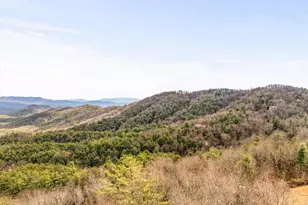 576 Apache Trail, Chatsworth, GA 30705 - Photo 83