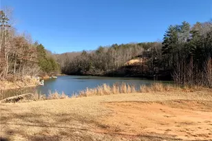 2585 Panorama Dr, Sautee Nacoochee, GA 30571 - Photo 59