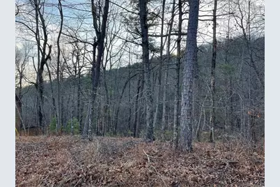 205 Sharp Top Mountain Trail, Jasper, GA 30143 - Photo 1