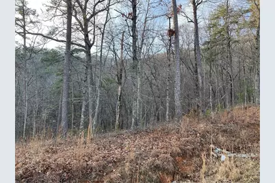 205 Sharp Top Mountain Trail, Jasper, GA 30143 - Photo 5