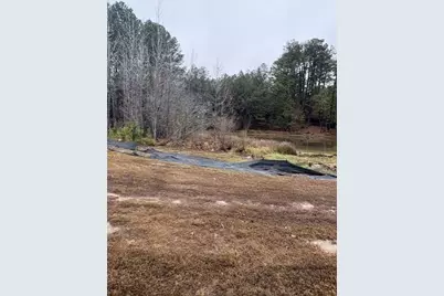 4272 Giverney Boulevard, Fairburn, GA 30213 - Photo 3