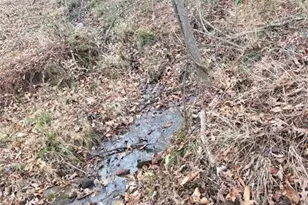 300 Burbano Creekside Lndg, Talking Rock, GA 30175 - Photo 51