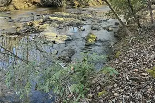 300 Burbano Creekside Lndg, Talking Rock, GA 30175 - Photo 41