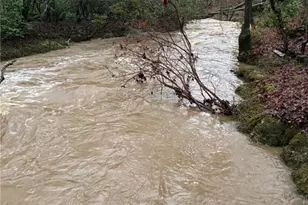 300 Burbano Creekside Lndg, Talking Rock, GA 30175 - Photo 39