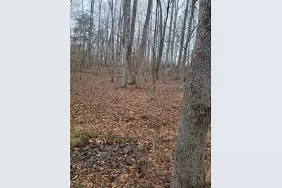 300 Burbano Creekside Landing, Talking Rock, GA 30175 - Photo 53