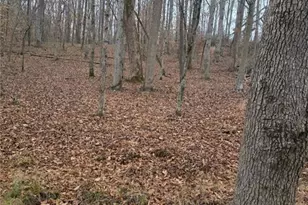 300 Burbano Creekside Lndg, Talking Rock, GA 30175 - Photo 53