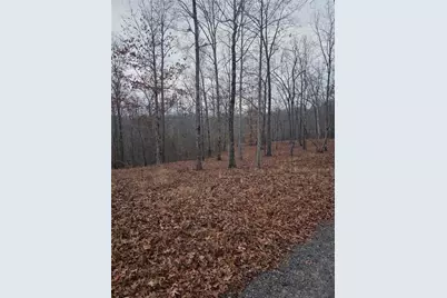 300 Burbano Creekside Landing, Talking Rock, GA 30175 - Photo 57