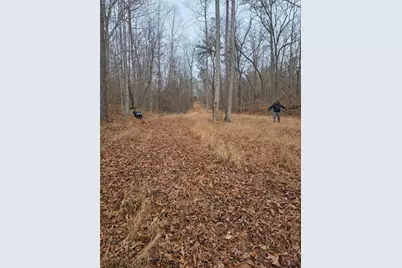 300 Burbano Creekside Landing, Talking Rock, GA 30175 - Photo 55