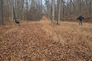 300 Burbano Creekside Lndg, Talking Rock, GA 30175 - Photo 55