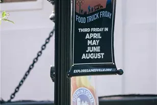 4151 Millstone Pk Ln, Gainesville, GA 30504 - Photo 59