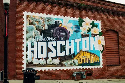 140 Brandle Rose Way, Hoschton, GA 30548 - Photo 97