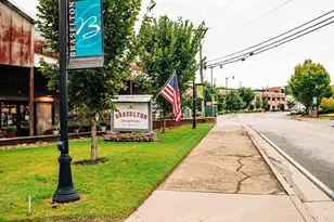 140 Brandle Rose Wy, Hoschton, GA 30548 - Photo 91