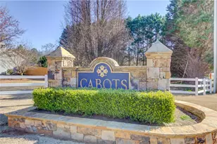 12 Chatham Ct, Jefferson, GA 30549 - Photo 45