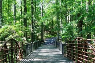 2236 Caledonia Dr, Lawrenceville, GA 30045 - Photo 77