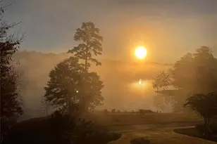 7010 Tree House Way Way, Flowery Branch, GA 30542 - Photo 85