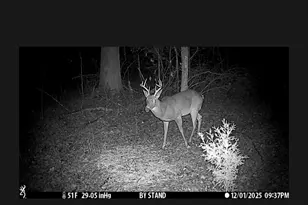 1280 Ragan Rd, Douglasville, GA 30134 - Photo 31