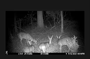 1280 Ragan Rd, Douglasville, GA 30134 - Photo 33