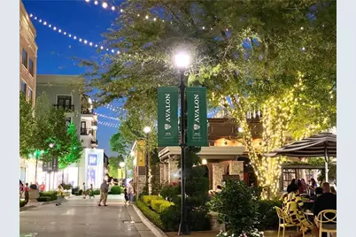 14250 Freemanville Road, Milton, GA 30004 - Photo 53