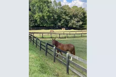 14250 Freemanville Road, Milton, GA 30004 - Photo 71