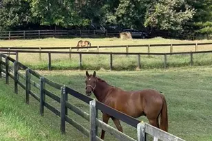 14250 Freemanville Rd, Milton, GA 30004 - Photo 71