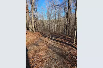 408 Apple Ridge 1, Dawsonville, GA 30534 - Photo 25