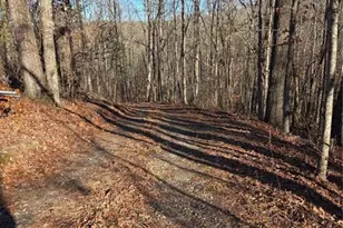 408 Apple Ridge 1, Dawsonville, GA 30534 - Photo 25