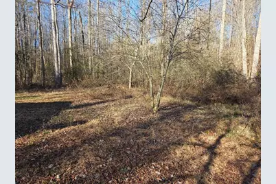 408 Apple Ridge 1, Dawsonville, GA 30534 - Photo 31