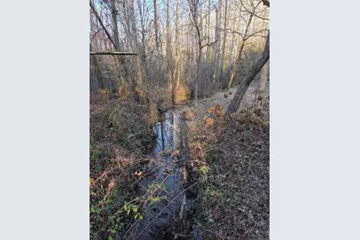 408 Apple Ridge 1, Dawsonville, GA 30534 - Photo 35