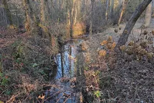 408 Apple Ridge 1, Dawsonville, GA 30534 - Photo 35