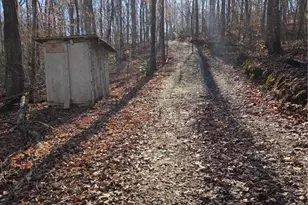 408 Apple Ridge 1, Dawsonville, GA 30534 - Photo 33