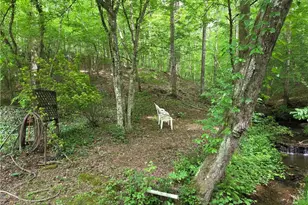 408 Apple Ridge 1, Dawsonville, GA 30534 - Photo 39