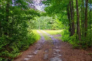 8291 Hwy 5, Whitesburg, GA 30185 - Photo 59