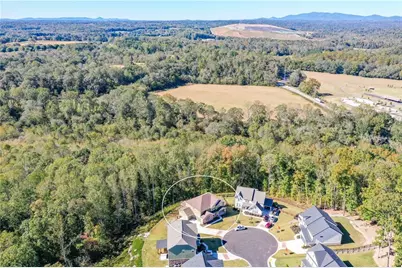 8555 Scenic Ridge Way, Ball Ground, GA 30107 - Photo 67