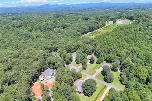 271 Panacea Ln, Demorest, GA 30535 - Photo 59