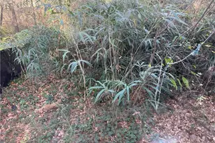 928 Sloan Cir SE, Atlanta, GA 30316 - Photo 25