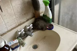 928 Sloan Cir SE, Atlanta, GA 30316 - Photo 15