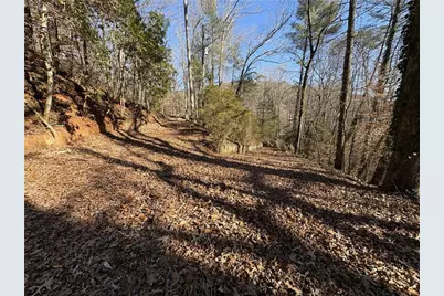 170 Old Gold Mine Trail, Helen, GA 30545 - Photo 13