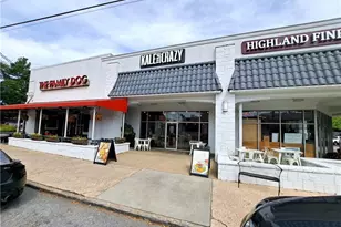 1879 Johnson Rd NE, Atlanta, GA 30306 - Photo 33