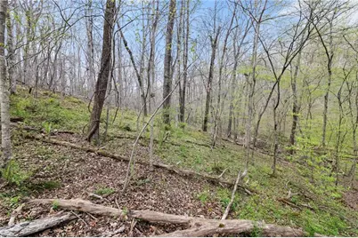 87 Tolleffs Trail, Dahlonega, GA 30533 - Photo 37