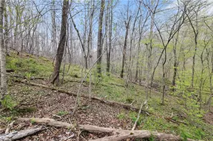 87 Tolleffs Trail, Dahlonega, GA 30533 - Photo 37