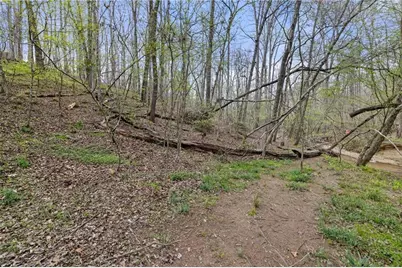 87 Tolleffs Trail, Dahlonega, GA 30533 - Photo 49